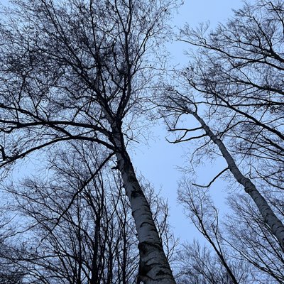 RoseMadeDesigns's tweet image. #NewProfilePic