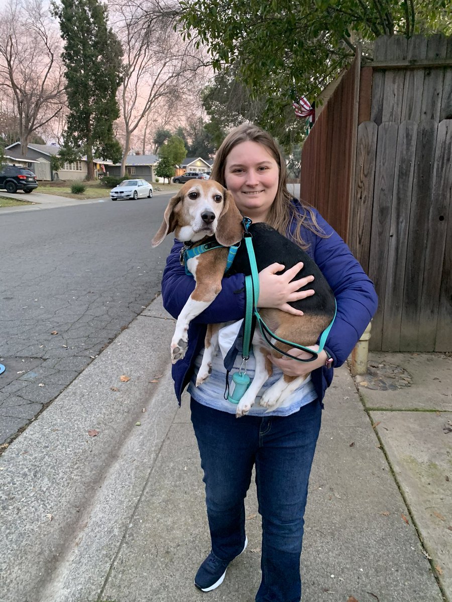 Tomorrow marks one month since Teddy went over the rainbow bridge. I miss his goofy little self. I miss him sitting pretty just because you took a step near him. I miss him jumping on the top of the chair to greet us when we got home. Love you, little beagle. 🌈#beagle