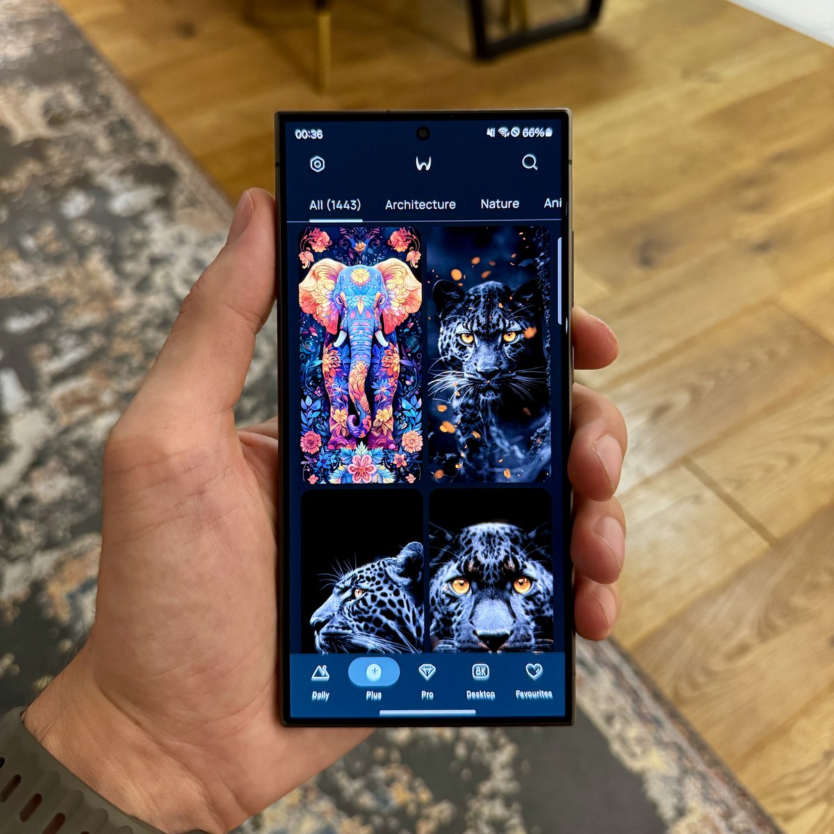 vukandric's tweet image. One4Wall Lifetime plan giveaway! 👇