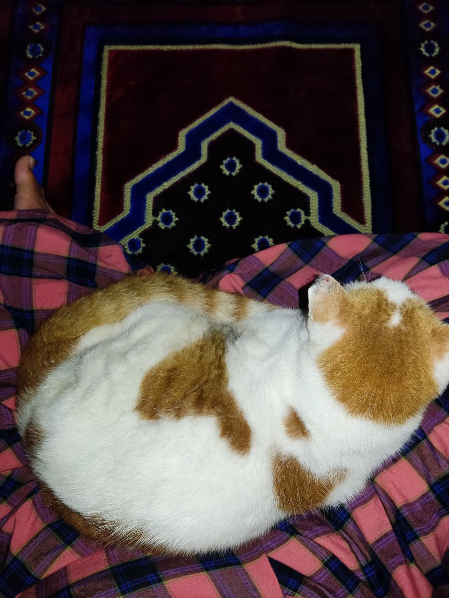 cipanjiwang's tweet photo. @brgsjks Sebelum subuh. https://t.co/Sg37So1erw
