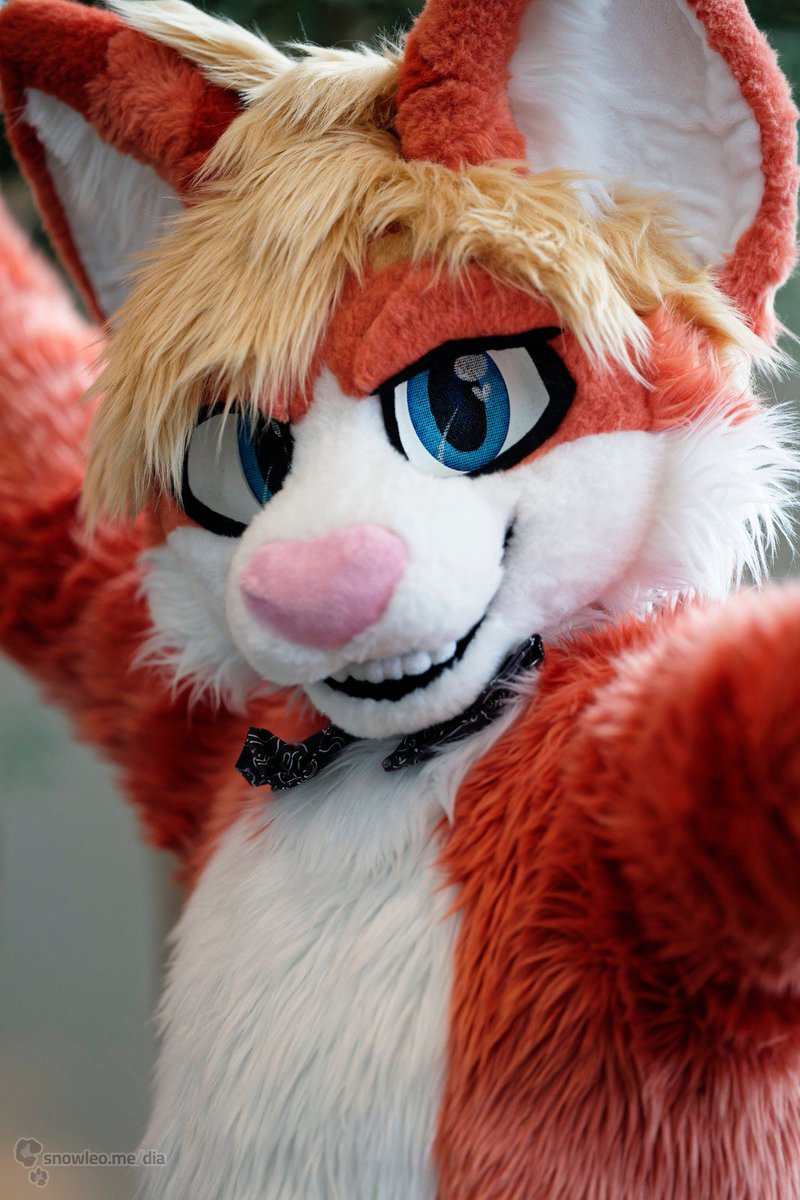 ๐ณ๐ฑ Xavier ๐พ ๐ FWA (@xavipurr) on Twitter photo Feeling extra frisky during 6/21, might just pounce on ya~
#FursuitsFriday
๐ธ: <a href="/KimuraSnepShots/">KimuraSnepShots</a> Feeling extra frisky during 6/21, might just pounce on ya~
#FursuitsFriday
๐ธ: <a href="/KimuraSnepShots/">KimuraSnepShots</a>
