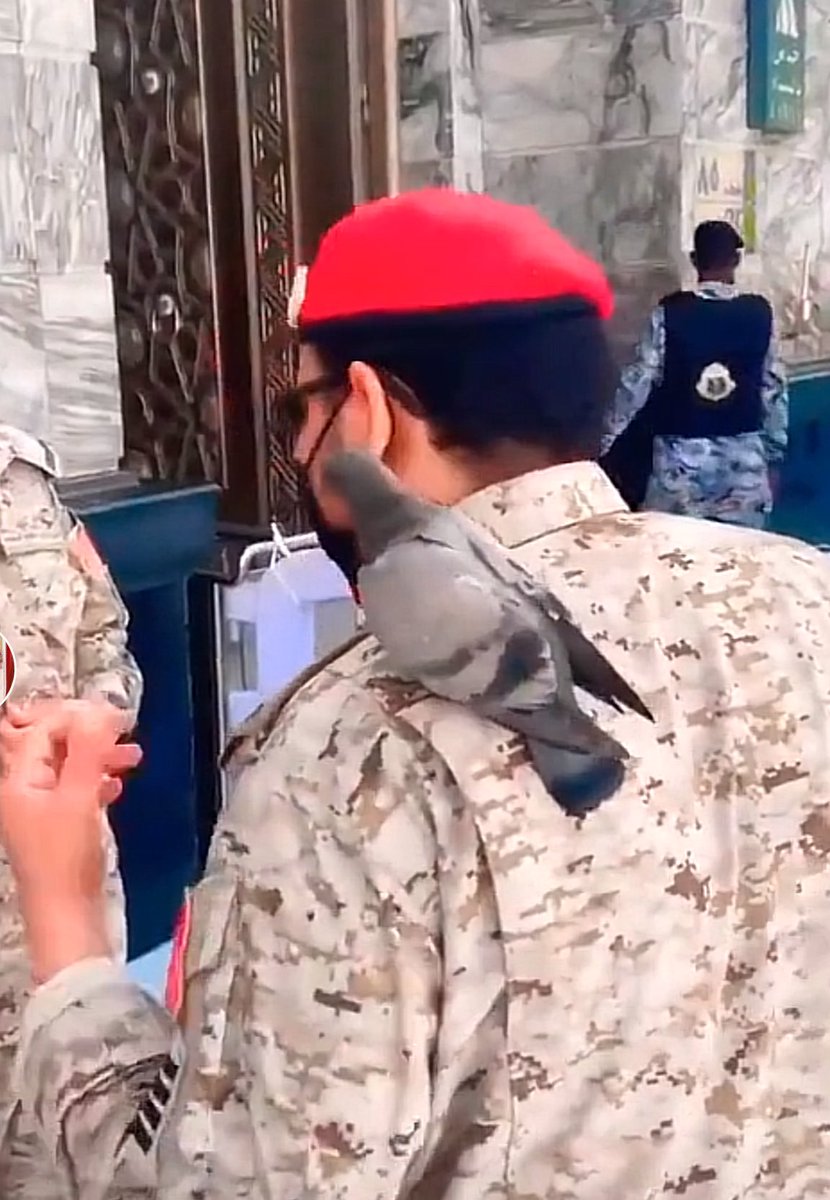 د.نوير العنزي tweet media