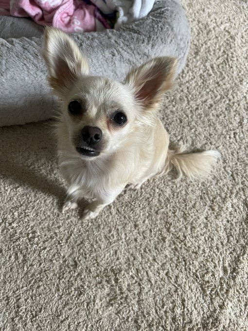 Watch ✩𝐁𝐚𝐢𝐥𝐞𝐲 𝐁𝐨𝐨𝐭𝐥𝐞𝐬✩'s leaked NSFW photo on TwXstars