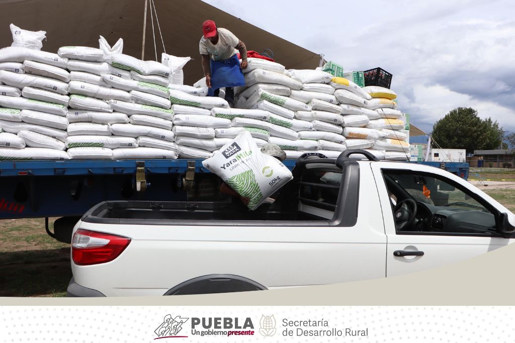 SDRGobPue's tweet photo. Impulsando la agricultura innovadora y sostenible, la Secretaría de Desarrollo Rural realizó en Tepeaca la entrega de apoyos para el Fortalecimiento del Campo, Reconversión Productiva para Cultivos de Alto Valor Comercial y Tecnificación del Campo Poblano. Contribuyendo con el desarrollo rural y el crecimiento económico de la entidad. 🌱🌾🚜