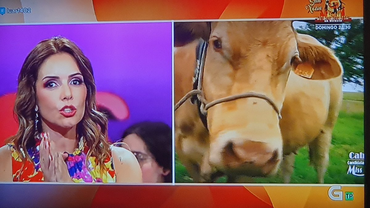 #Luar1402 
A miña bonitiña <a href="/LuciaRodguezTV/">Lucía Rodríguez</a>  en #Missvaca2024 🤗❤<a href="/luartvg/">Luar TVG</a>