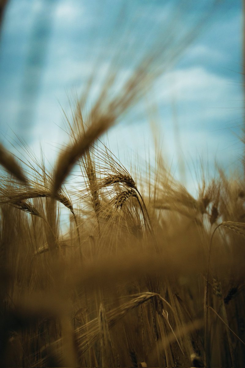 Jacob Pollux🙏 tweet media