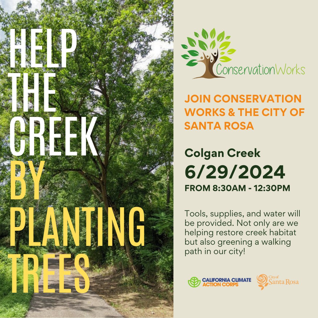 Join us as we plant native trees to help restore Colgan Creek's overall health! Not only are we helping the creek but also greening a walking path in our city! We'll meet at the corner of Boron Ave and Monument Dr. at 8:30 on June 29th.