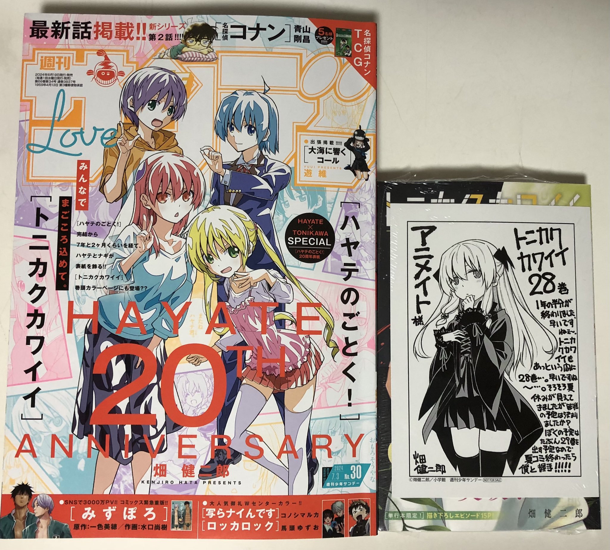 週刊少年サンデー ハヤテのごとく巻頭号 週刊少年サンデー 2007年29号※結界師 巻頭※ハヤテのごとく