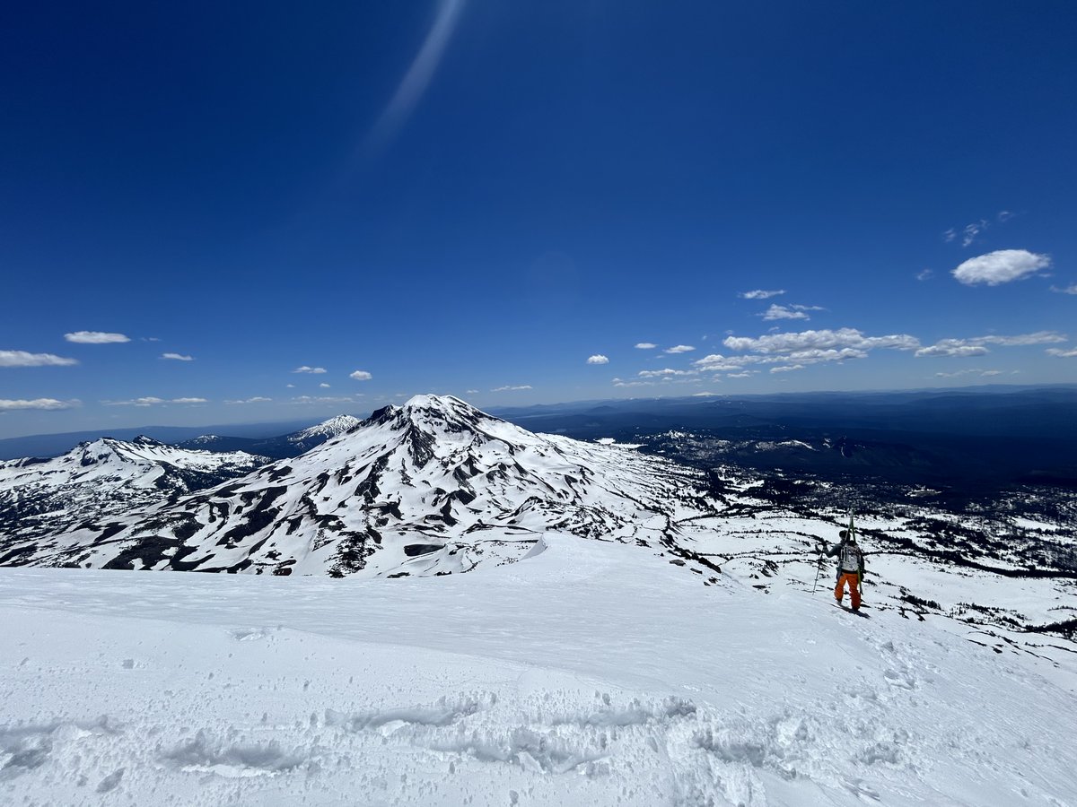 Pete Walsh tweet media