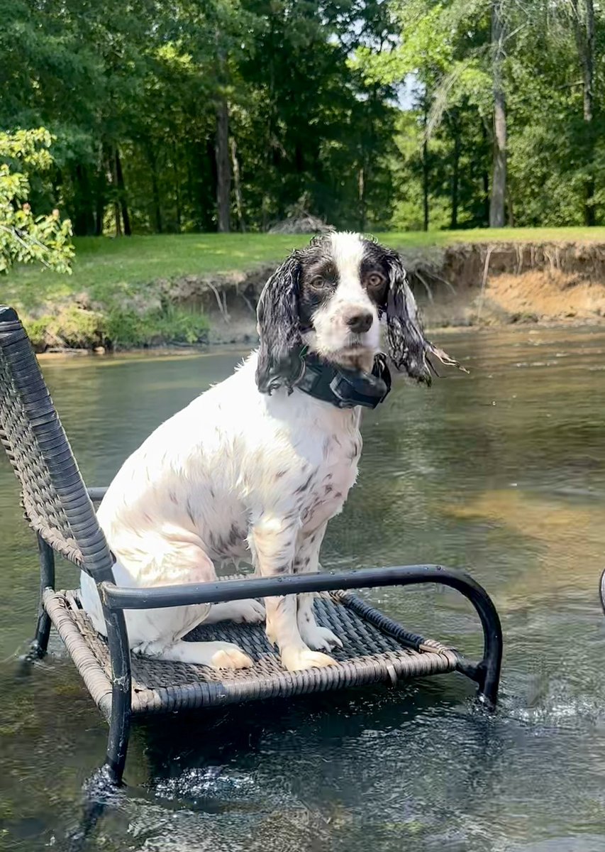 Judge Elizabeth Gobeil tweet media