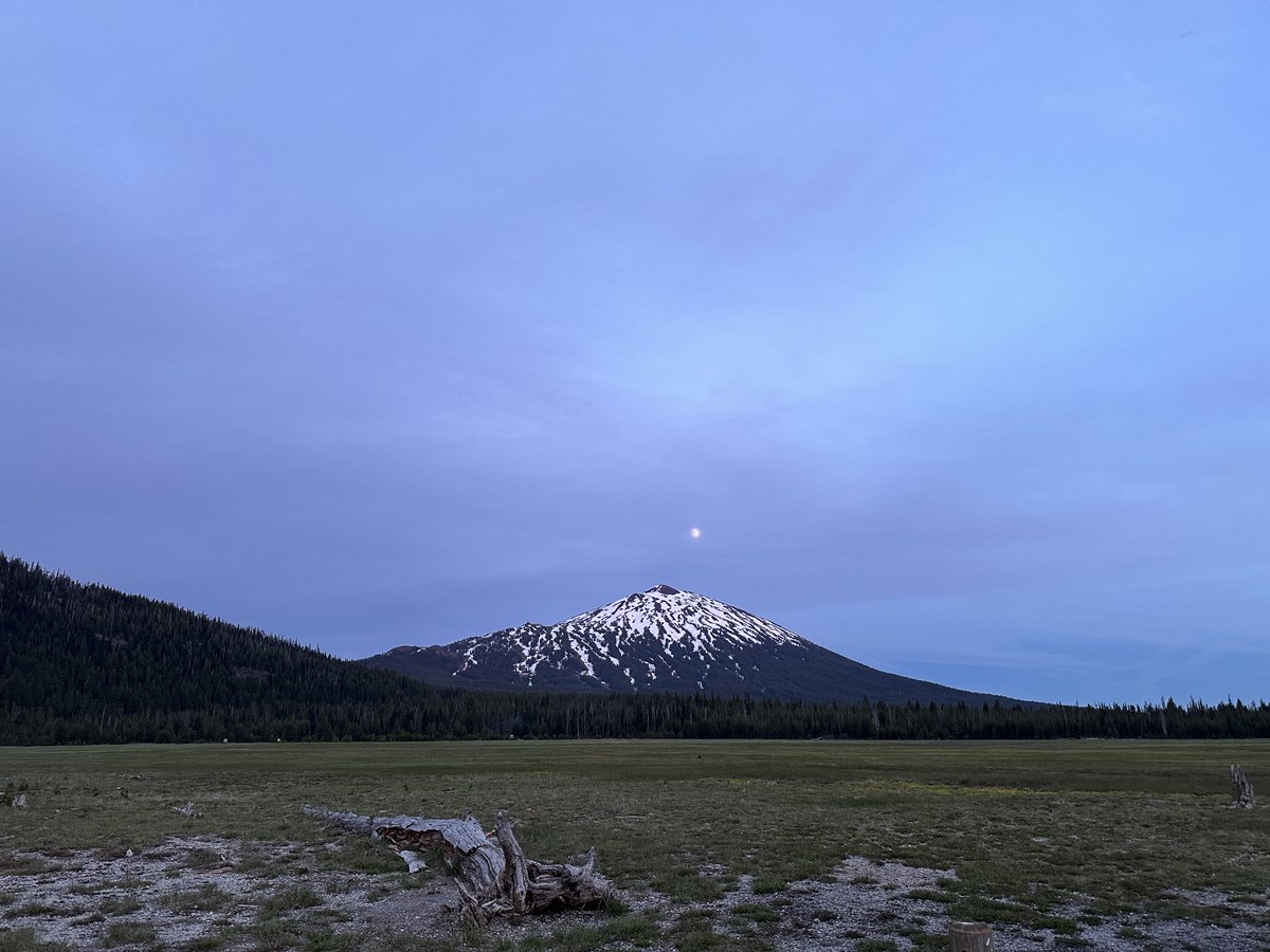 Pete Walsh tweet media