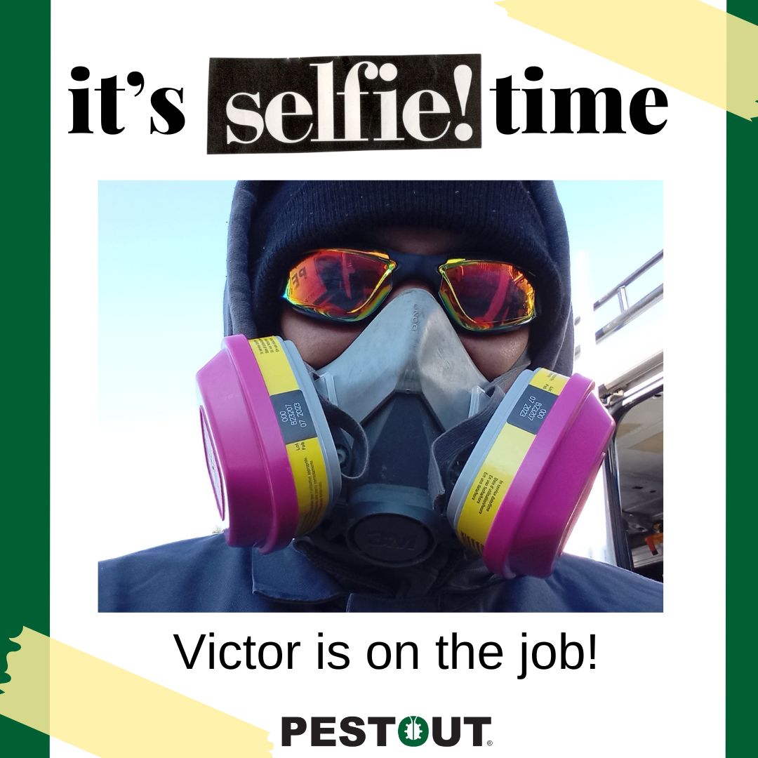 PestOutHR's tweet photo. Victor is geared up and ready to go!
If you havenβt had your home inspected, now is the time!
Give us a call today to learn more!
757-737-8688
https://t.co/F6DW0jjUVE
#Pestout #pestcontrol #HamptonRoads #Virginia #selfie #onthejob https://t.co/HLZuqw8yRZ