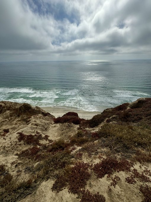 #blacksbeach https://t.co/zj1bYLuEjI<a href="/tag/blacksbeach"class="tags">#blacksbeach</a>