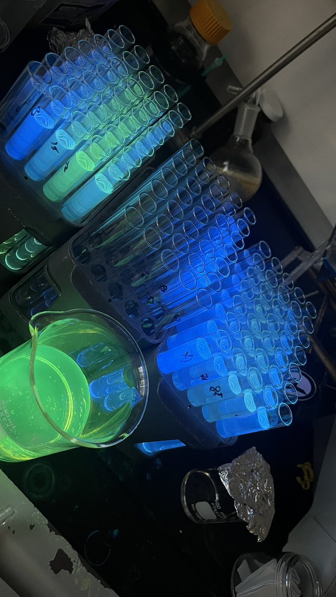 🔵🟩⚫️🔵🔵🔵🟩🔵