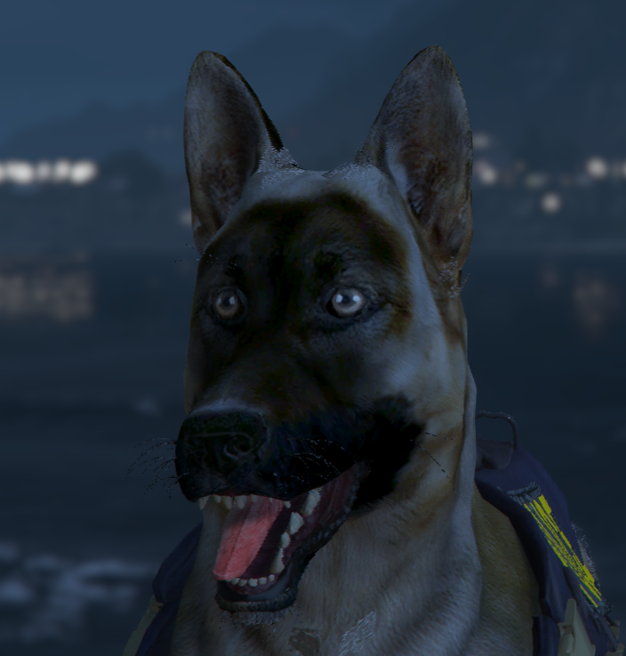 Bear is back out on patrol in #GTARP #live #twitch #smallstreamer twitch.tv/phenomenot_