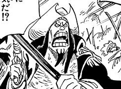 OP_Characters_'s tweet photo. 173: Wallem, New World captain who fought on the side of White Beard during Marine Ford https://t.co/2uXEubETIg
