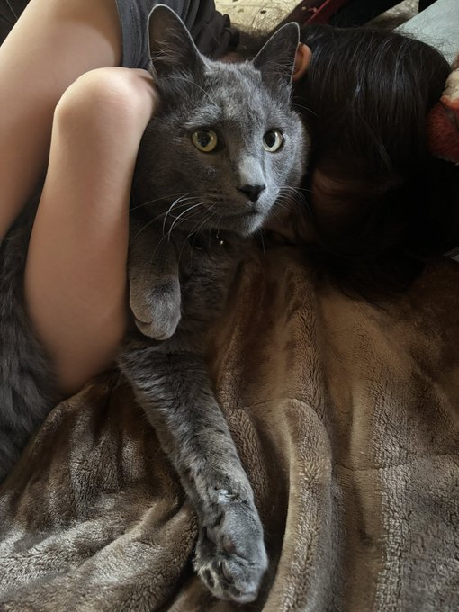 Twitterのコスプレ画像3