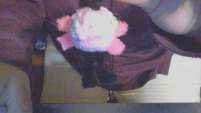 PinkMallow6 tweet picture