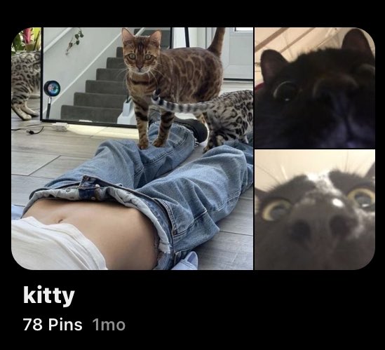 giving u a kitty pic based on your profile!!
