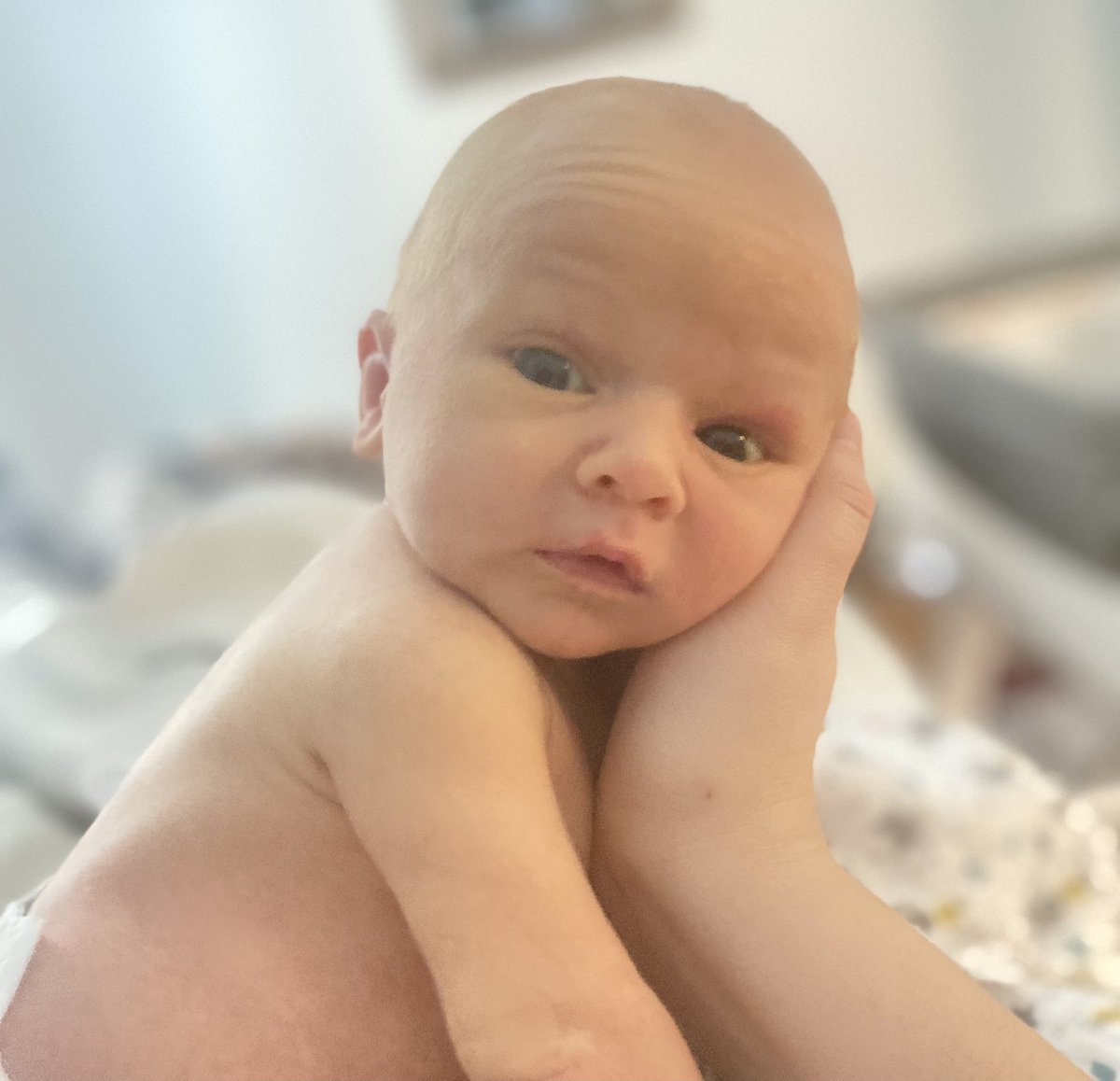 Christina D’Amico tweet media