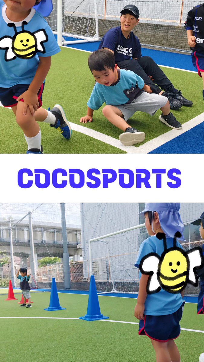 cocospo_futsal's tweet photo. 🌷ちびっこクラス🌷
夏の日差しが輝くコート🌱✨
子どもたちは今日も元気いっぱいです!
『泥棒と警察』どっちが勝つかな👮?
#COCOSPORTS #フットサル #ウォーミングアップ #泥棒と警察 #いざ勝負⚽️ https://t.co/v8ggxcJCPk