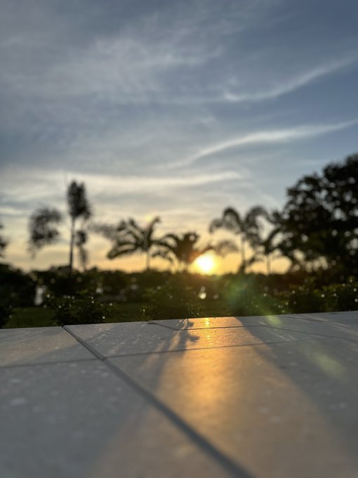 Going down with Don Roberto &amp; Pink Floyd. #Sunsets over #Sarasota https://t.co/TRC15nv7s2<a href="/tag/sunsets"class="tags">#Sunsets</a><a href="/tag/sarasota"class="tags"><span>#sarasota</span></a>