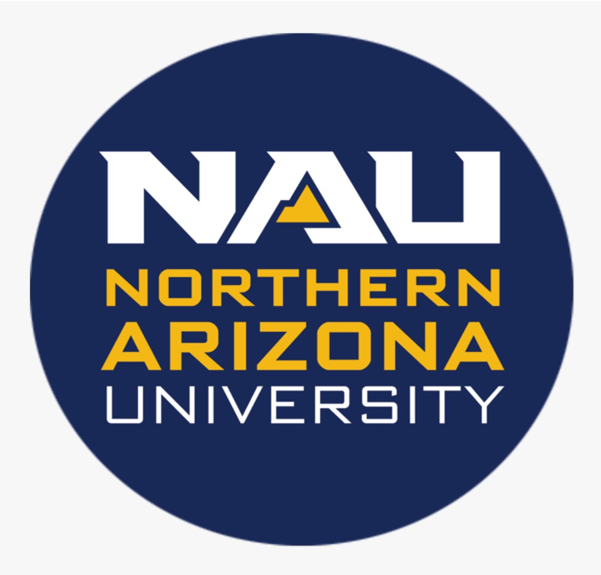 Izzie Harms tweet media