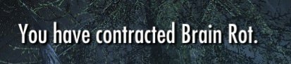 Cynbiote's tweet image. Me every time I check on @FehGodly&apos;s server