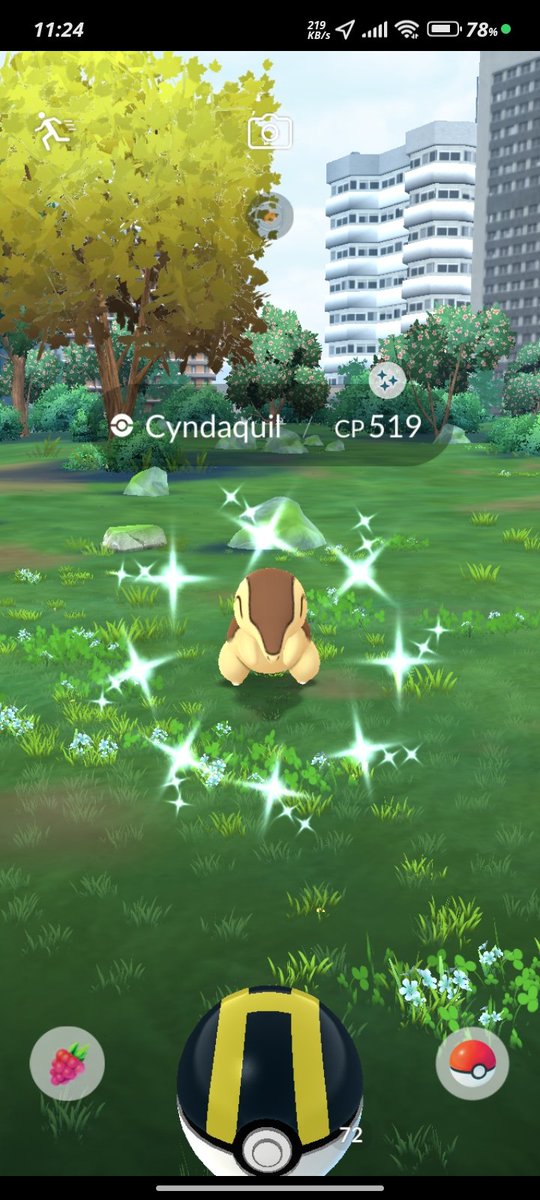Friking_bitch's tweet photo. Cyndaquil Community day has been  Started ✨✨✨✨✨✨ 
#PokémonGO 
#PokemonApp https://t.co/T0Xa5Vc9AH