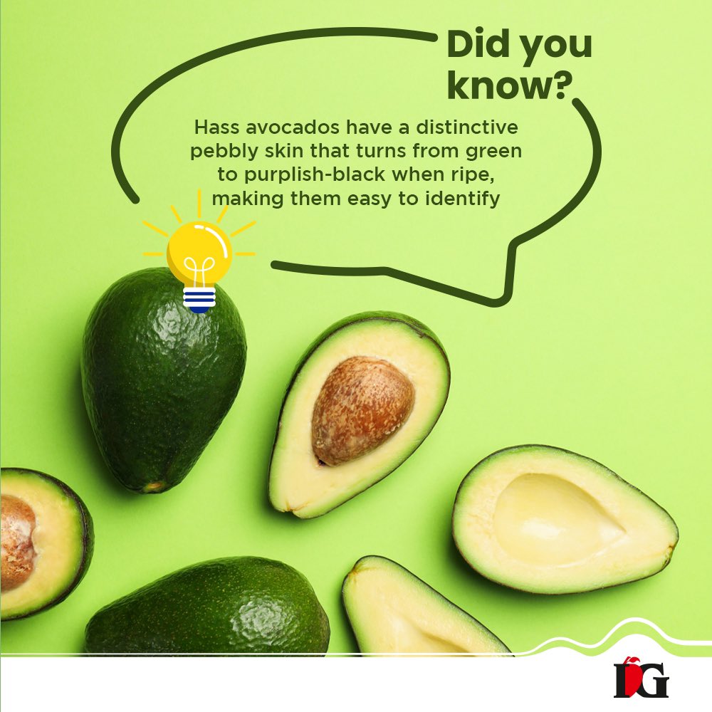 Unlock the deliciousness of Hass avocados, easily identified by their changing skin color as they ripen. 🥑 To place an order for our fresh Hass avocados, download our app My IG or visit our website myig.in
#avocados🥑 #avocadolove #avocadolover #igfruits