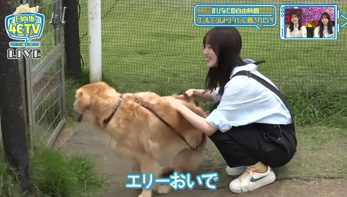 ひなたのあしもと - البحث / X