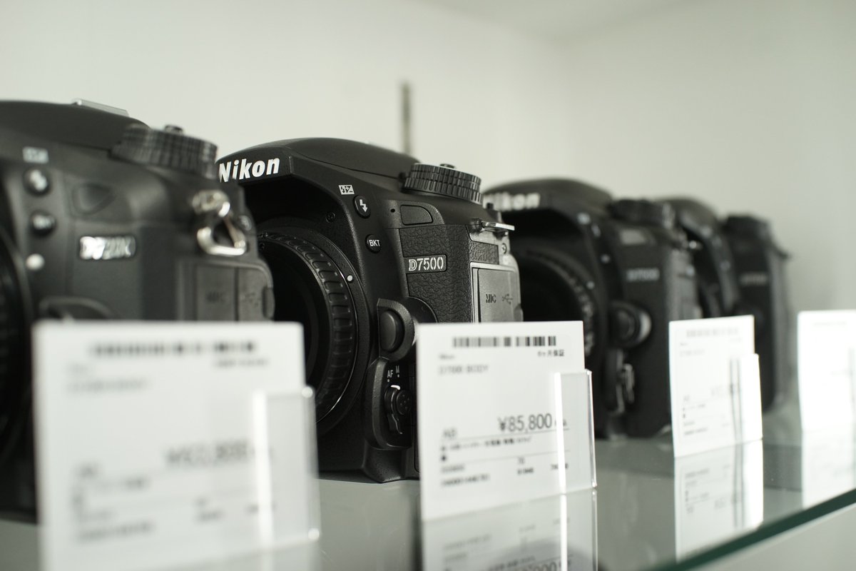 sanpoucamera's tweet image. NikonのD7000のシリーズ (*´▽｀*)！
(*'▽') 揃い踏み！
＃D7000　
＃D7100　
＃D7200　
＃D7500　
＃揃い踏み