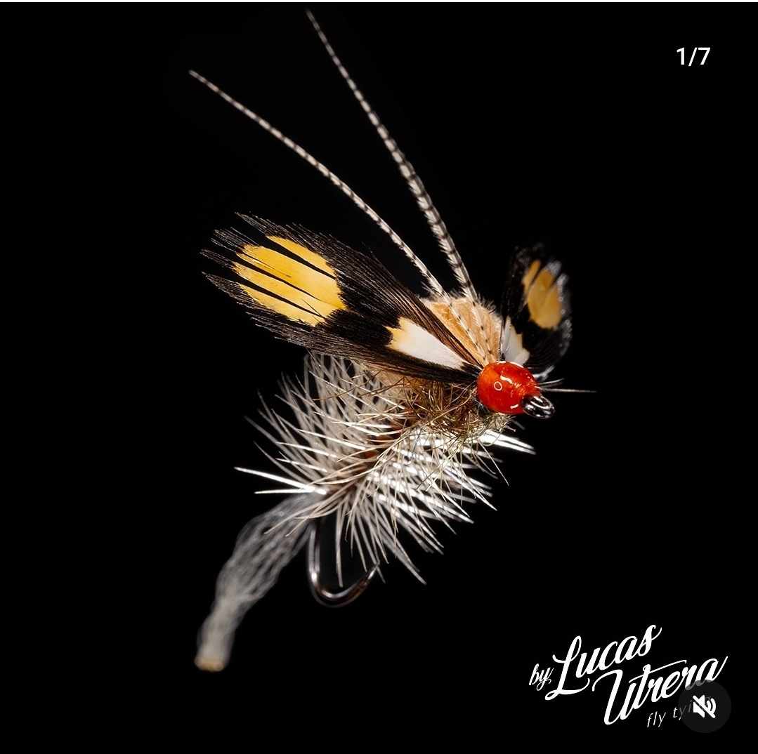 Semperfli Fly Tying tweet media