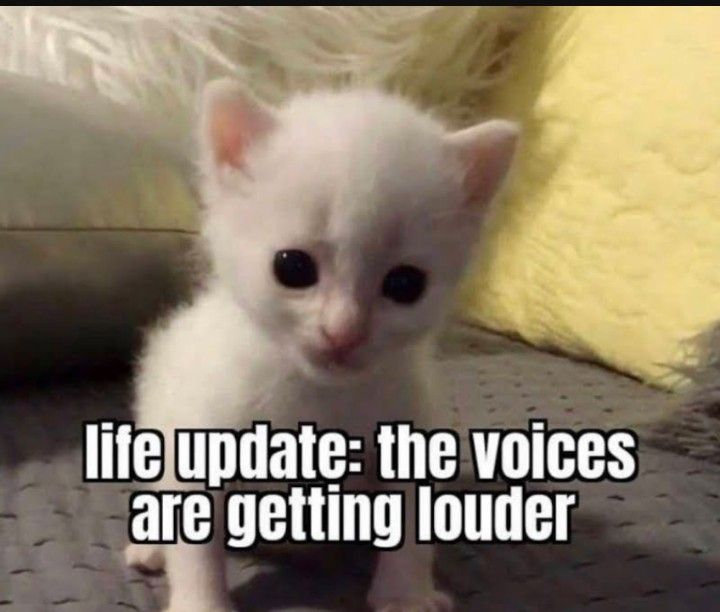 swankycs2's tweet photo. https://t.co/FqyU6GOAAZ