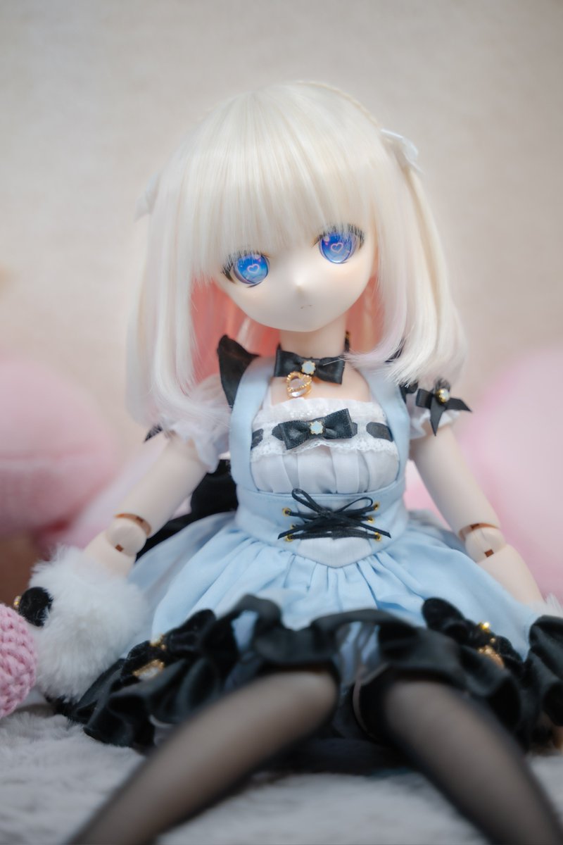 #うちのこかわいい
#MDDはいいぞ