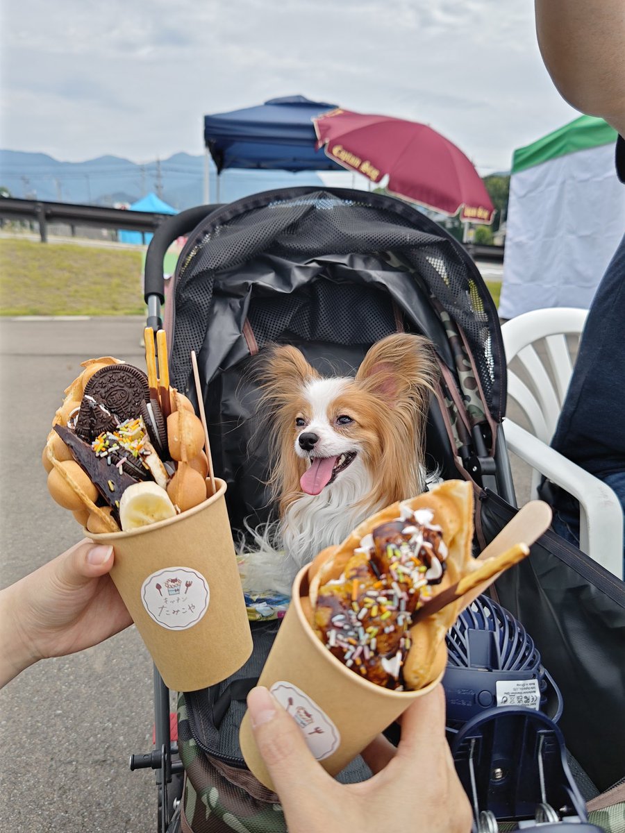 chaco___maki's tweet photo. やっと食べれたー
美味しい(⁠ ⁠ꈍ⁠ᴗ⁠ꈍ⁠)

#キッチンたみこや https://t.co/vuBxU0XfEx