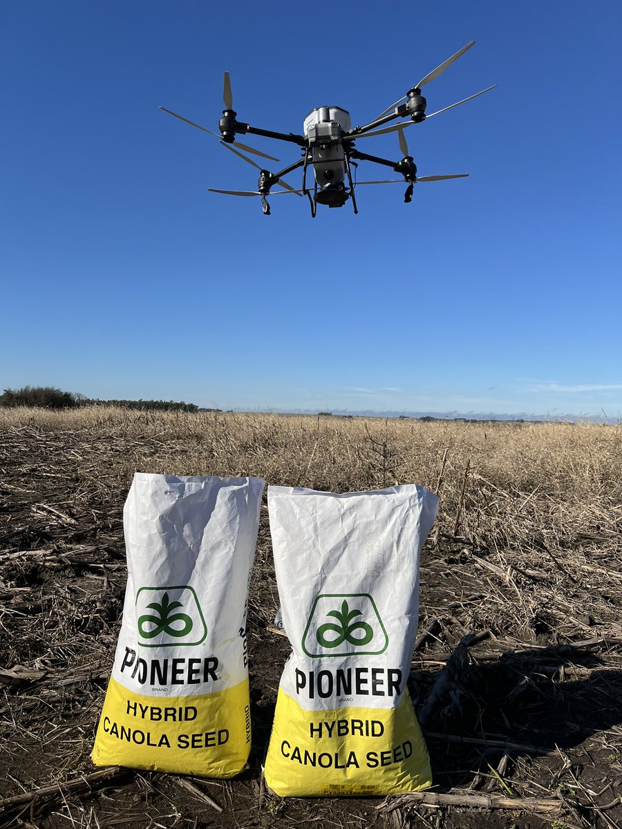 Año complicado para la implantación de cultivos de invierno, seguimos generando información local de calidad. 

📍Rincón de los Tapes, Durazno

<a href="/CortevaUY/">Corteva Uruguay</a> @NoriaDrone