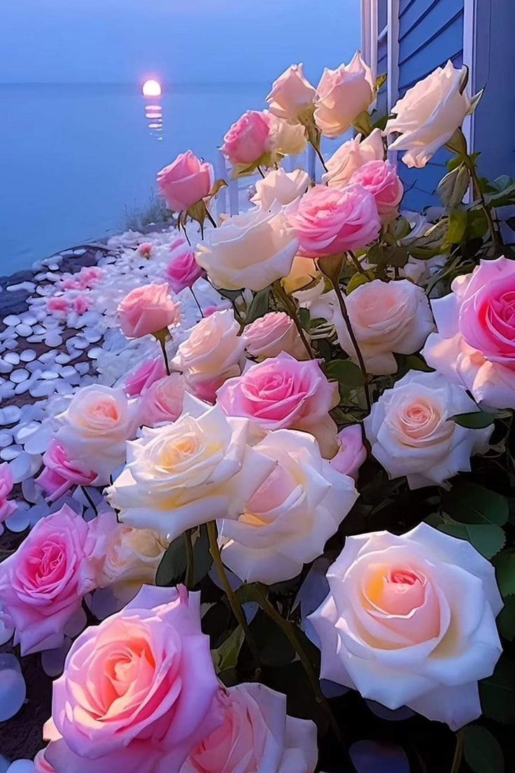 aestheticspost_'s tweet photo. https://t.co/p3WliVP3Qf
