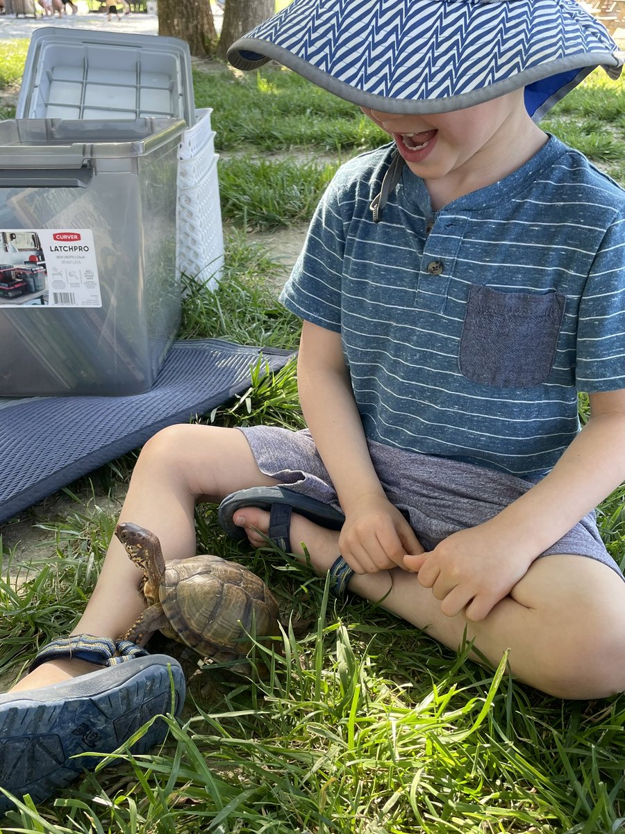 cpsmyers's tweet image. Last Morning @ The River Lucky and Henley got to help teach kids more about box turtles. Love my time with @mo_river_relief #pbl #cpsscience
