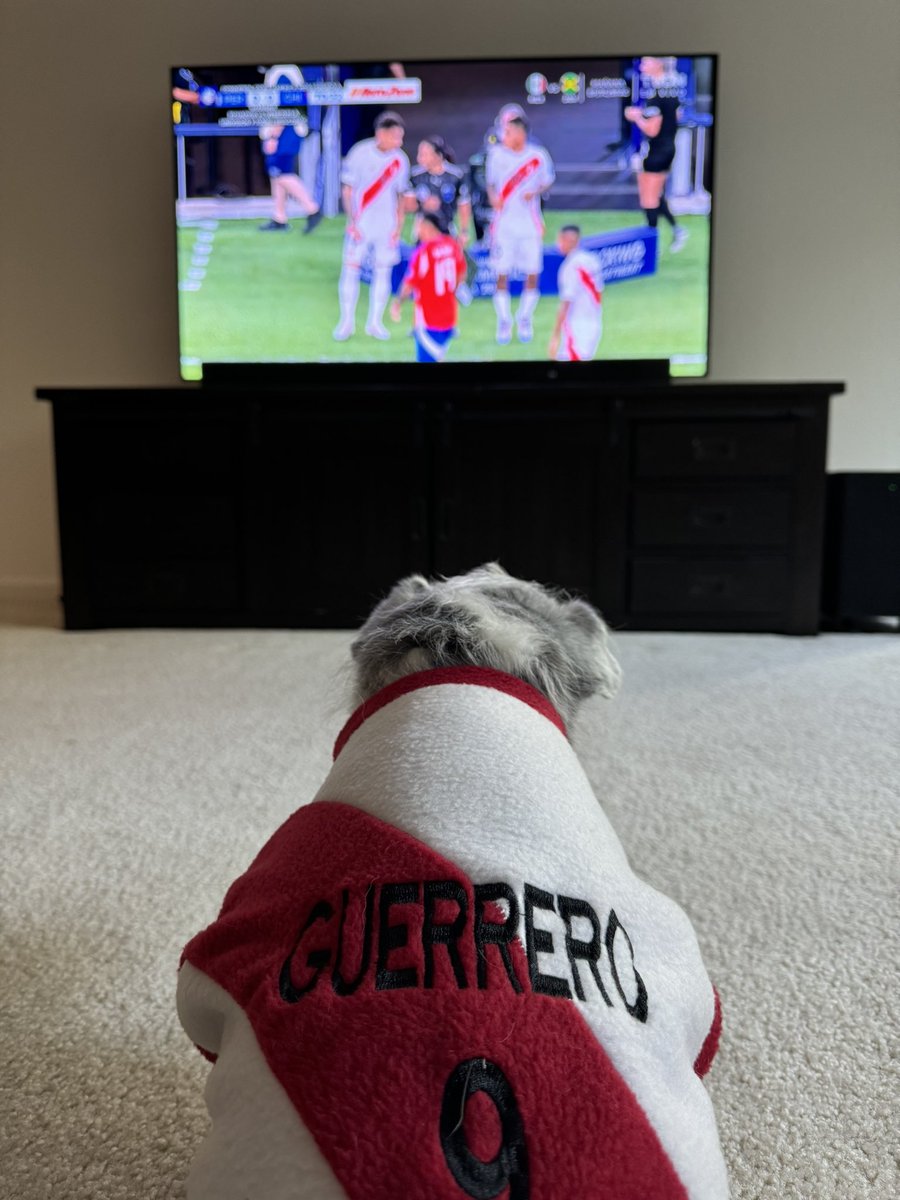 ManuelGuzman's tweet photo. Otis watching Paolo Guerrero enter the game. #Peru #CopaAmerica2024 https://t.co/4eu4kdbAjZ