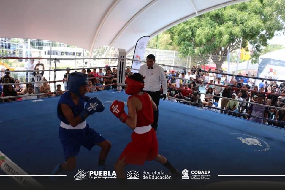 cobaep's tweet photo. Muchas felicidades 🎉
Eduardo Huerta Pérez del segundo semestre del Plantel 2, Angelópolis

🥊 Por ganar el campeonato de Box
En los Juegos Nacionales Populares 2024

#orgullopoblano 
#OrgulloCOBAEP https://t.co/zb4p9EzOHs