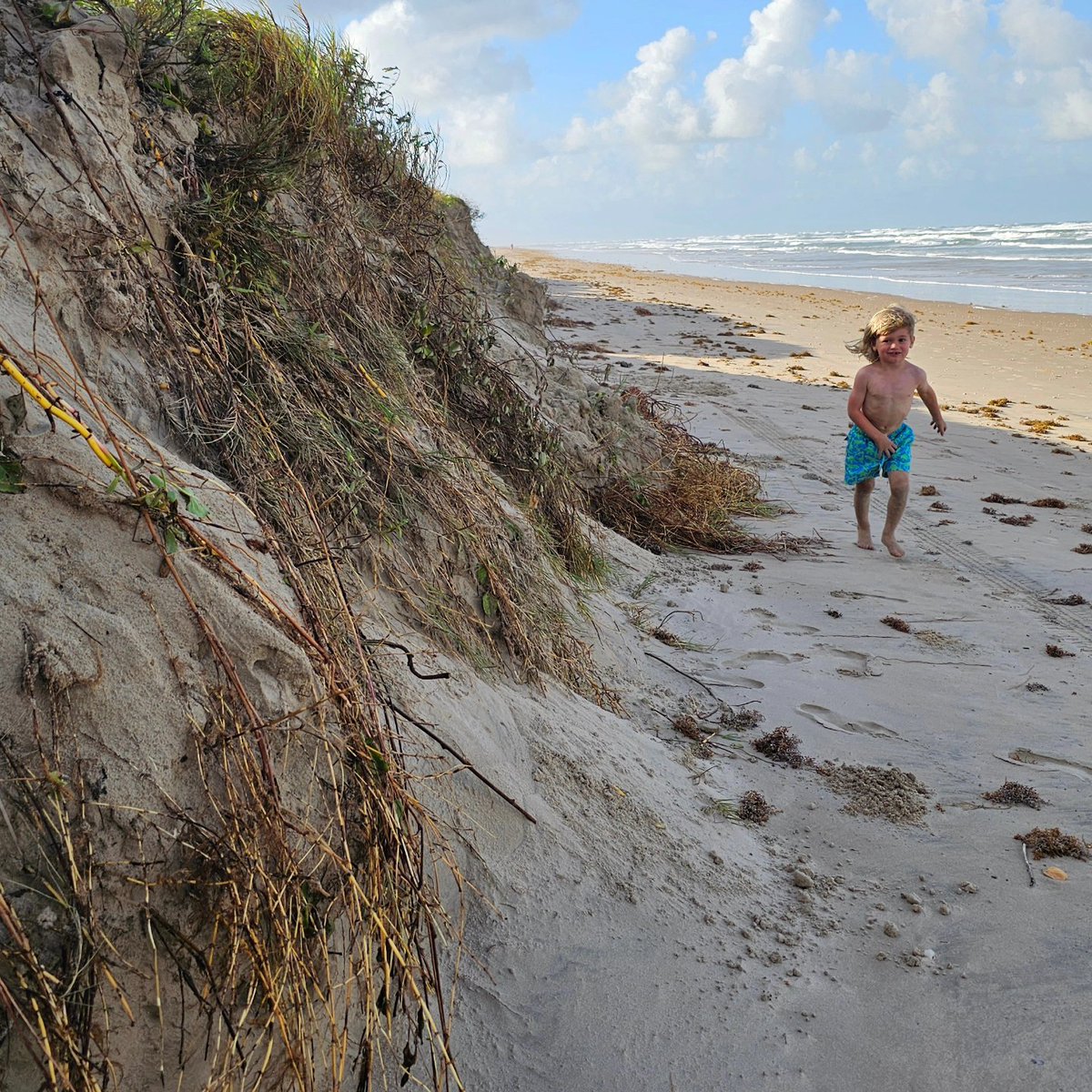 DNorman14's tweet photo. Exploring the beach after the tropical storm! https://t.co/nbpoY6dPbE