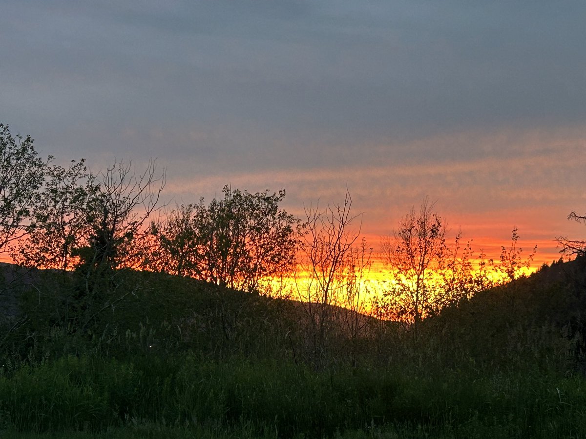 Day 47 Cross Canada. Saint Pascal QC to Edmundston NB !. Loving the maritimes already. 
Huge Thank You to  Sûreté du Québec for the amazing support. Shared so many km’s with your fantastic members !

Received a welcome warm at the NB border by RCMP and Edmundston Police !! 👌👌