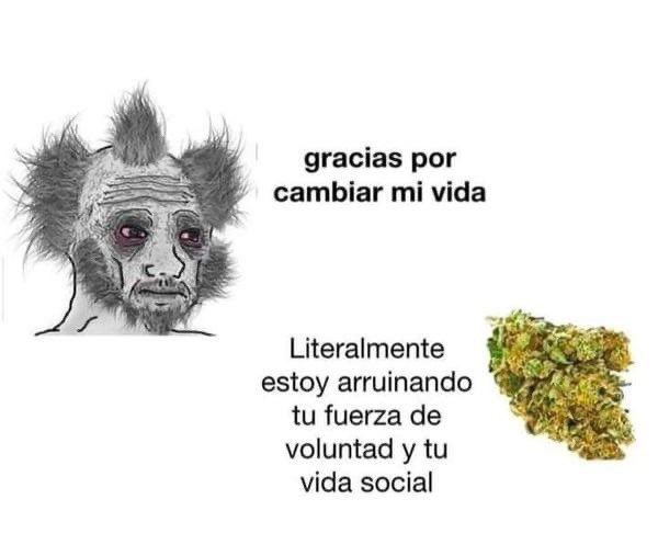Angeel_Artesano's tweet photo. Gracias https://t.co/nNLxFlrXUV