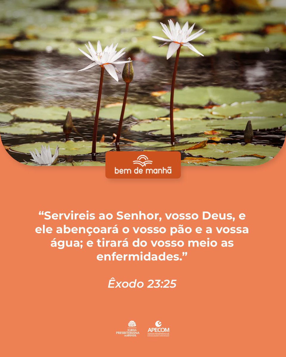 ipboficial's tweet image. Bem de Manhã: Comece o dia meditando na sabedoria de Deus.

“Servireis ao Senhor, vosso Deus, e ele abençoará o vosso pão e a vossa água; e tirará do vosso meio as enfermidades.”

Êxodo 23:25