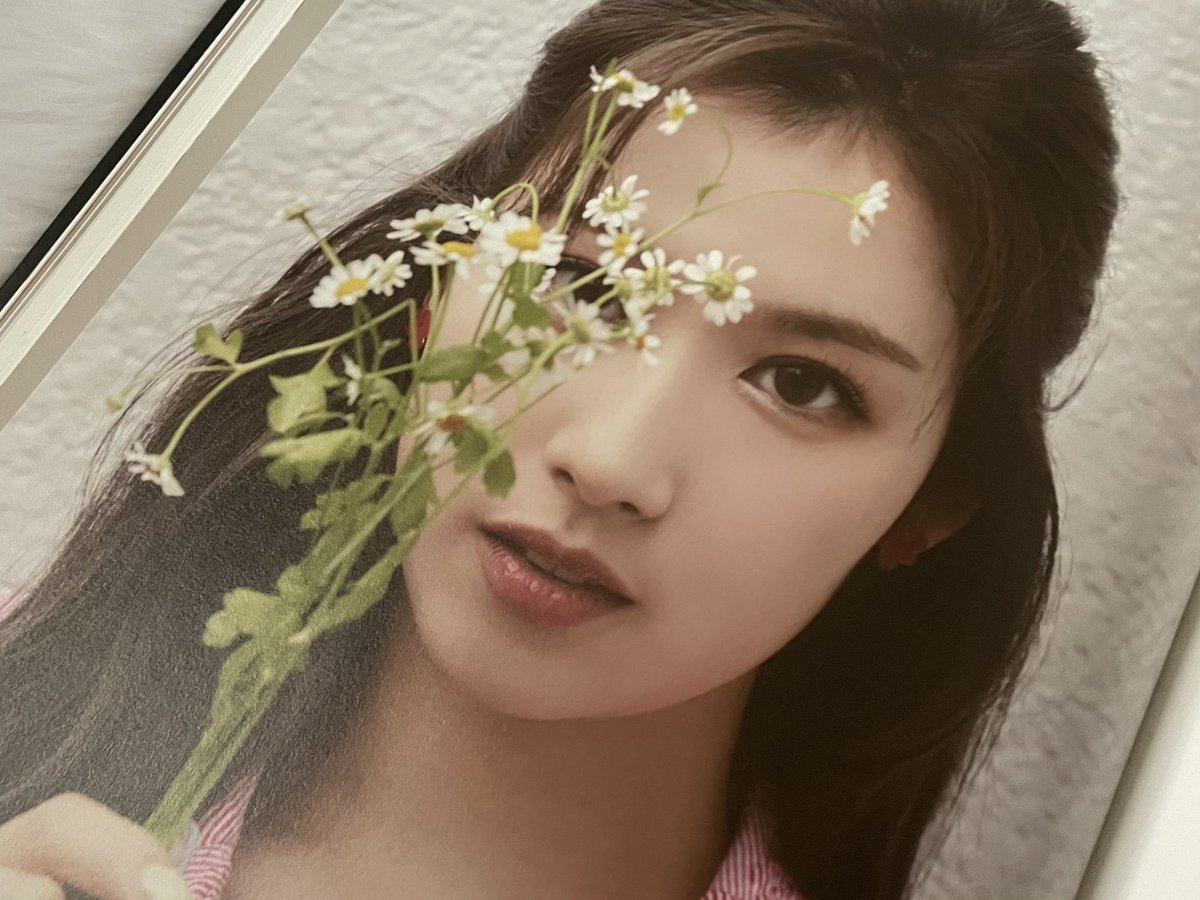 mainlysana's tweet photo. — ୧⋆｡🖤. -ʚɞ 🩰 #yelhsajmails

hello, @managernim2129! yias safely arrived on my end. thank you for letting me adopt her and packing it well. she’s so pretty, i didn’t expect na super laki niya and ang bilis lang dumating, tysm! 💜

thank you rin po, @babybluenyny ^__^💙 https://t.co/l4x14fnGKC