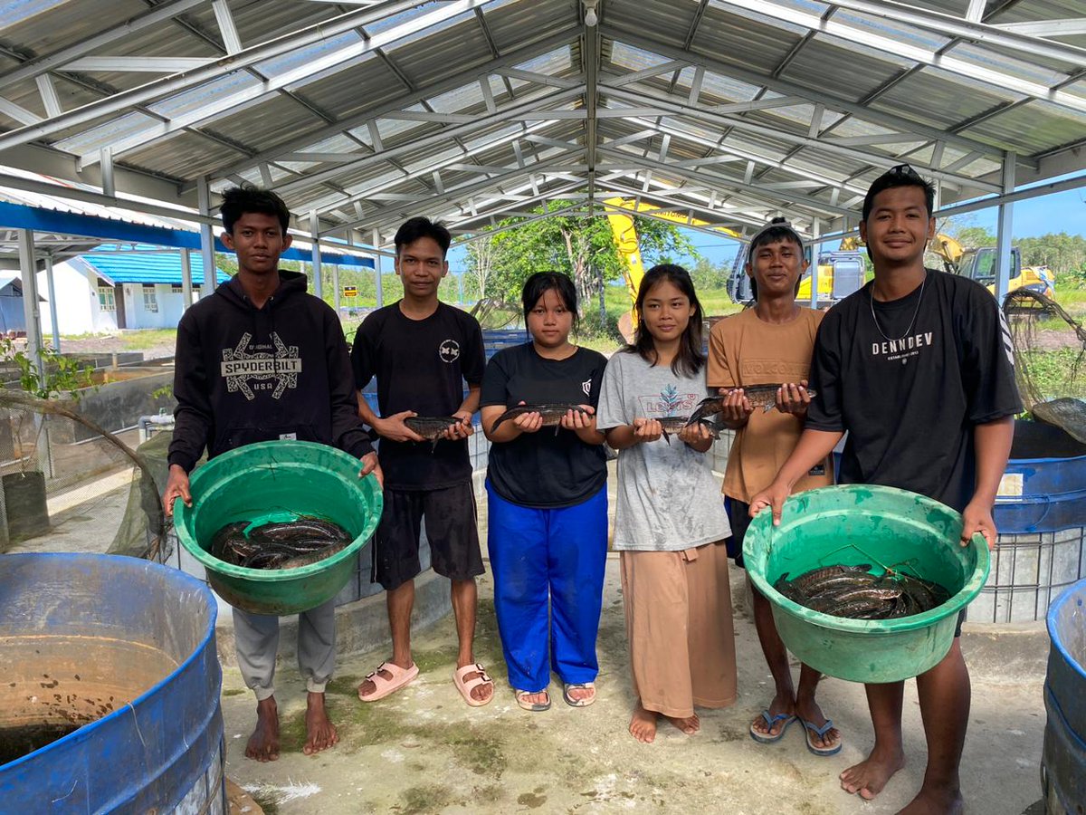 bpbatmandiangin's tweet photo. Pemindahan induk Gabus Haruan pasca 7 hari pemijahan bersama Teman-teman peserta Magang/PKL di IBILAGA Pulang Pisau...
#menteriKKP #kkpbeyond #budidayakkp #gabus #papuyu #patin #budidayaikan #ibilaga https://t.co/R6Ngwt032u