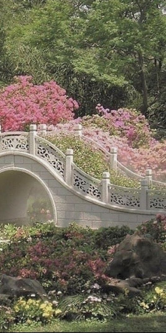 💜 ⚢ . ݁ tweet media