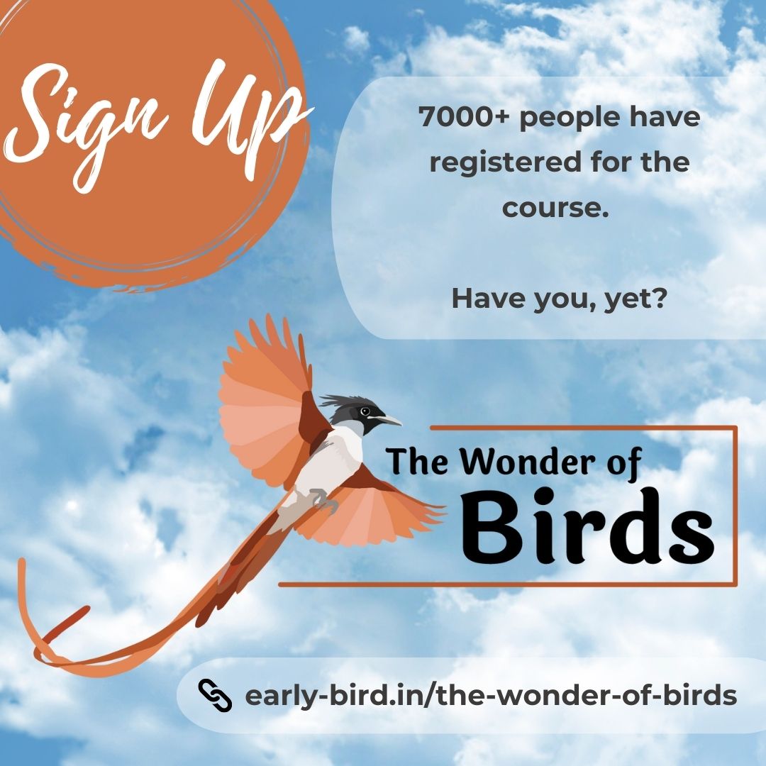 earlybirdncf's tweet photo. Sign up today for free! 🔗 https://t.co/mkbgnTFhtp https://t.co/27nCZMBt9q