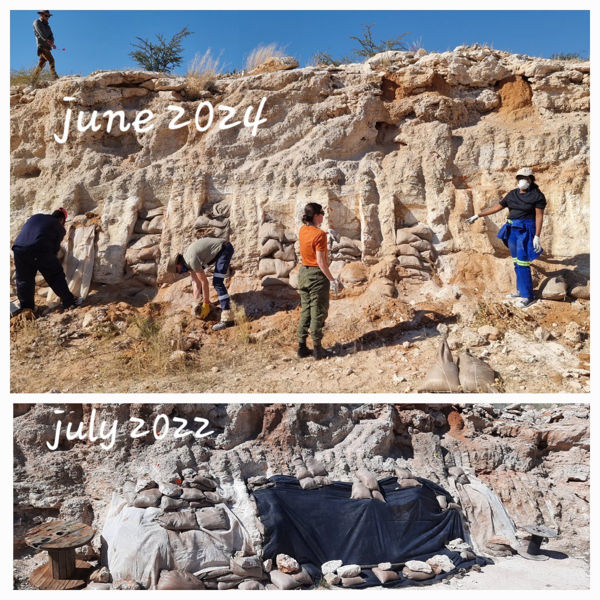 We were last at Sonstraal in 2022, and the first step is removing our backfill sandbags. Not the most exciting part of Archaeology but good backfilling protects the site for the future! #acheulean #ESA #MSAtransition